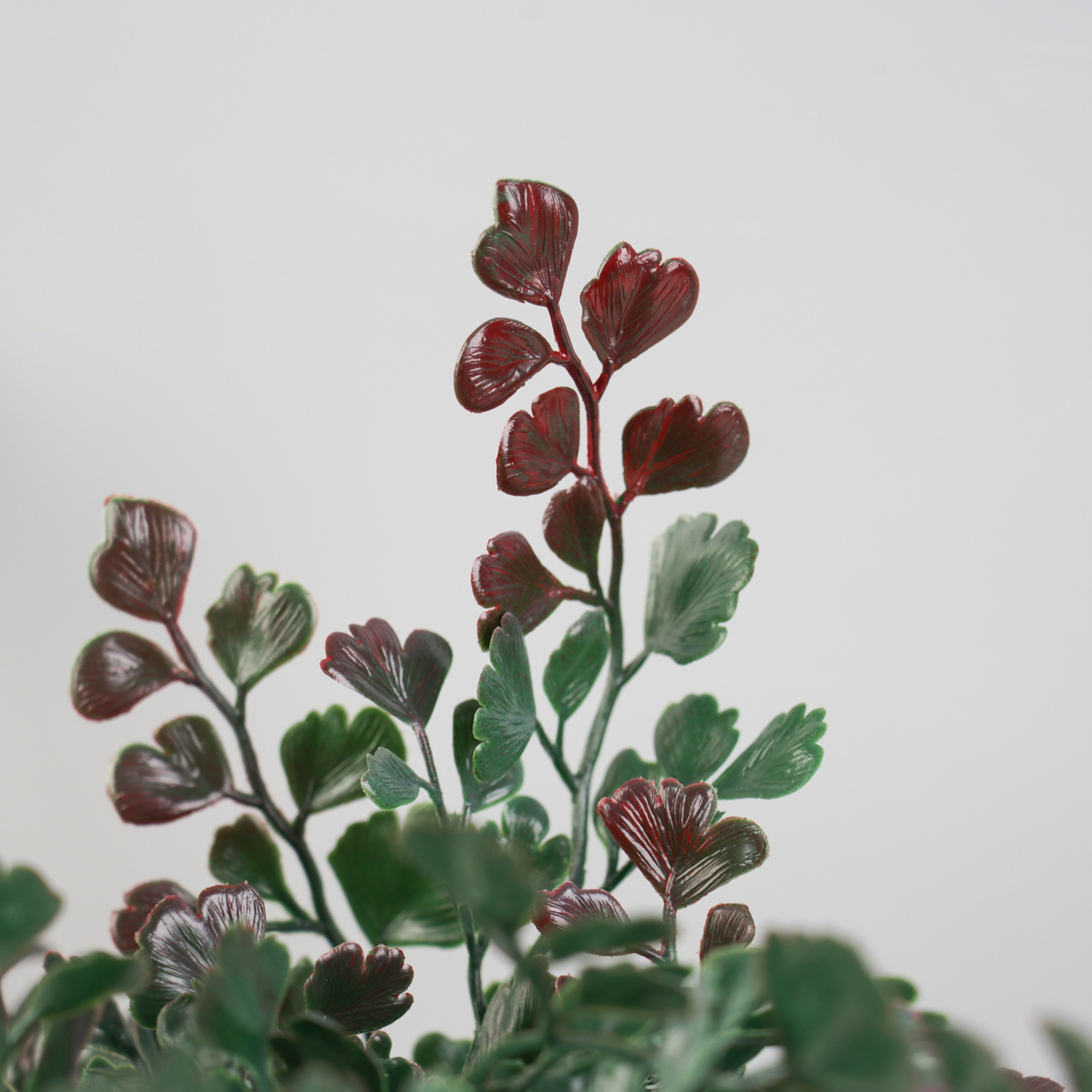 Бонсай в горшке "Скумпия экстра" 24х8,5 см, микс  10463224