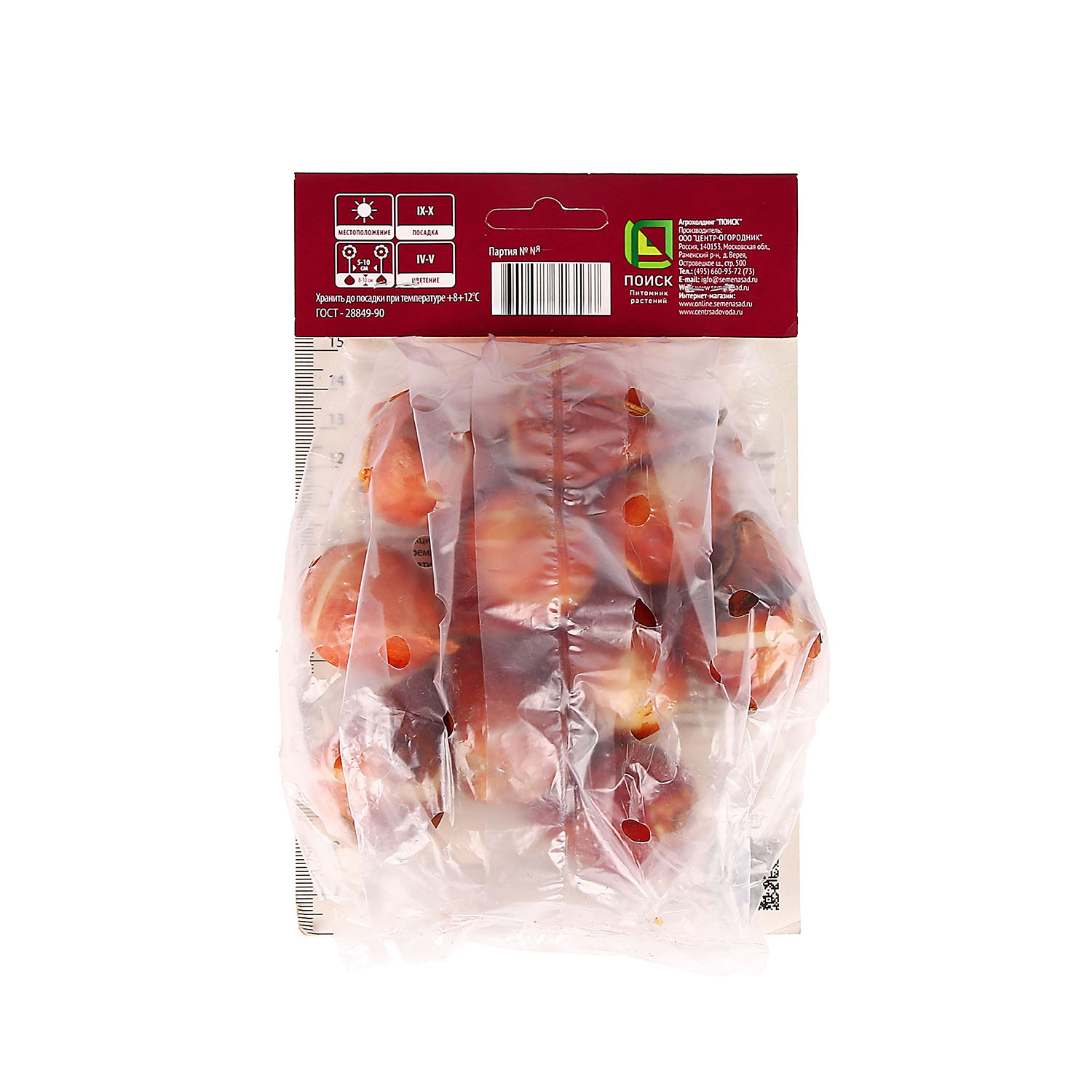 Тюльпан Дарвинов гибрид Пинк Прайд 11-12/10шт Тюльпан Дарвинов гибрид Пинк Прайд 11-12/10шт