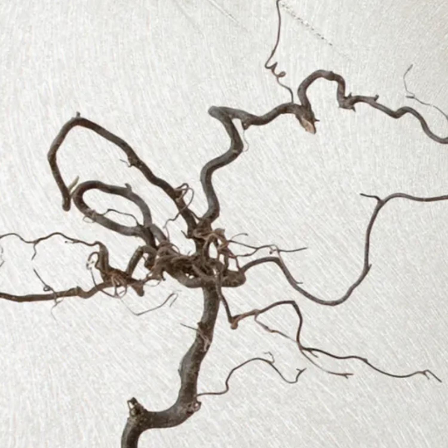 Обои флиз VS Ateliero Trinity 286706 1.06*10м *6