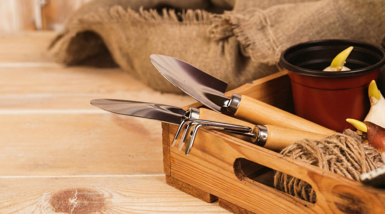 301dea61d3da74ac48472d586d2048f6_2b55c4e7-11f4-406a-ae06-09470c06d6b4.png 301dea61d3da74ac48472d586d2048f6_2b55c4e7-11f4-406a-ae06-09470c06d6b4.png