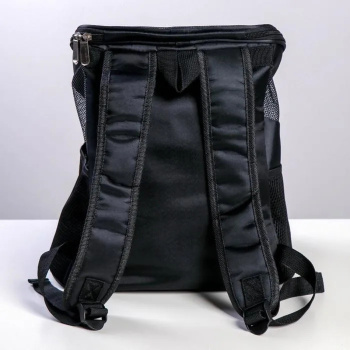 Рюкзак для переноски животных "В любом месте - веселее вместе" 31*23*30 см   4983426