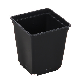 Набор горшков для рассады пластм. (0,25л *12шт) квадратный черный А5520чр (Ангора) *1/160