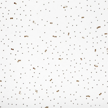 Плита потолочная Ангара 600х600*6 мм *24/960