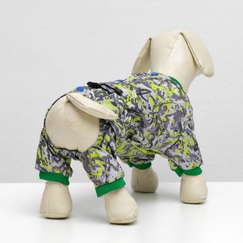 омбинезон для собак цветной, мальчик, XS ( дс 18-20 см, ош 24 см, ог 27-30 см) 2717635