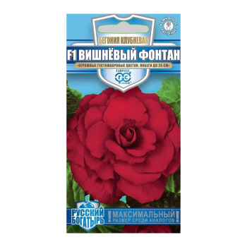 Бегония Вишневый фонтан F1/Русский богатырь 4шт/10