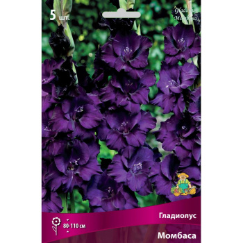 Гладиолус Момбаса 5шт 12/14/Gladiolus Mombassa
