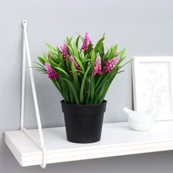 Бонсай в горшке "Альпиния" 9х20 см, микс  5202055