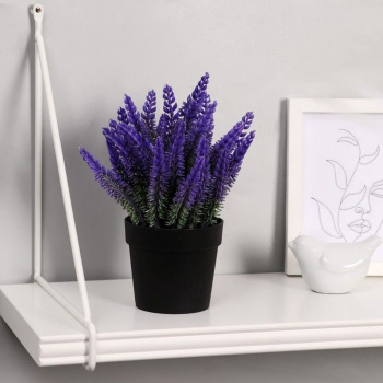 Бонсай в горшочке "Лаванда" 9*18 см, микс  4555656