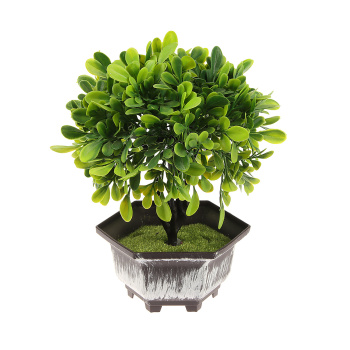Бонсай в горшке "Листья фикуса" 11х21 см 3931550