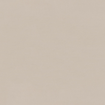 Обои  флиз ED Euro Decor Stronghold (беж.) 7315-19 *6