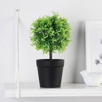 Бонсай в горшке "Олива европейская" 8,5х23 см  9750522