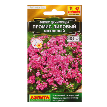 Флокс махр. Промис лиловый 10шт  10 Аэлита цв.