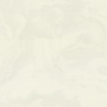 Обои  флиз ED Euro Decor Floravento фон (бел.) 7325-00 *6