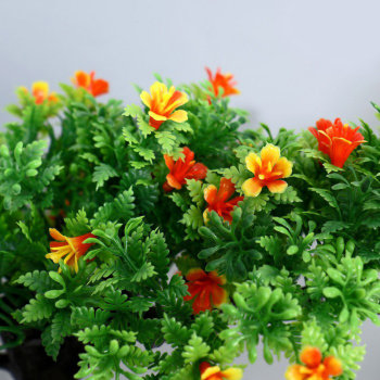 Бонсай "Дерево жизни" 11,5х15 см микс 5664401