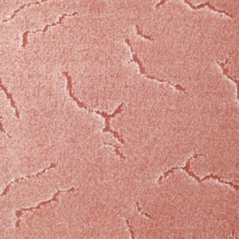 Ковер 3000 мм Нева Тафт Дакар, ворсовый