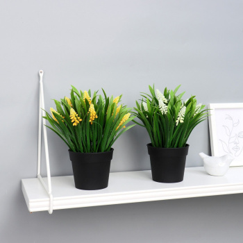 Бонсай в горшке "Альпиния" 9х20 см, микс  5202055