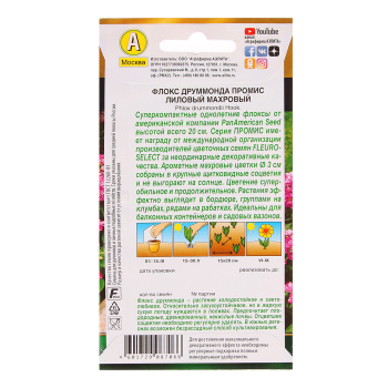 Флокс махр. Промис лиловый 10шт  10 Аэлита цв.