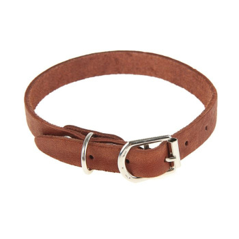 Ошейник кожаный однослойный, 30 х 1 см, коричневый 1173186