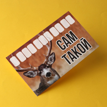 Автовизитка "Сам такой" 9215583