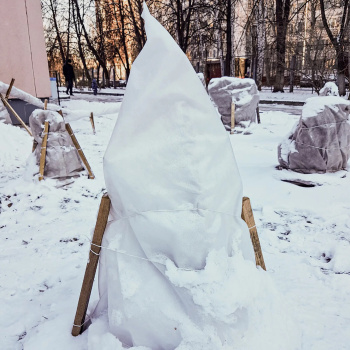 Чехол для хвойных и декоративных растений Агротекс, 60 г/м², 200х115 см, конус