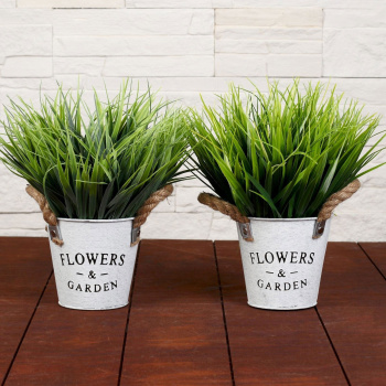 Бонсай в горшке "Садовый рай" осока 11*22 см    4142820