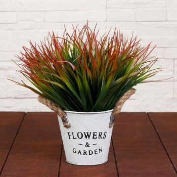 Бонсай в горшке "Садовый рай" осока 11*22 см    4142820