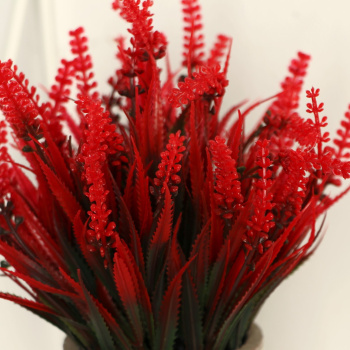 Бонсай в горшке "Лаванда куст" 7,5х19 см, микс 9750526