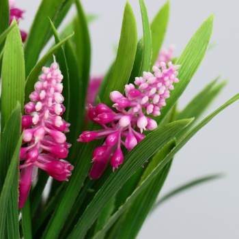 Бонсай в горшке "Альпиния" 9х20 см, микс  5202055